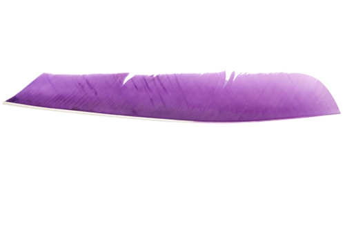 Full Length Solid Fletching. Purple.