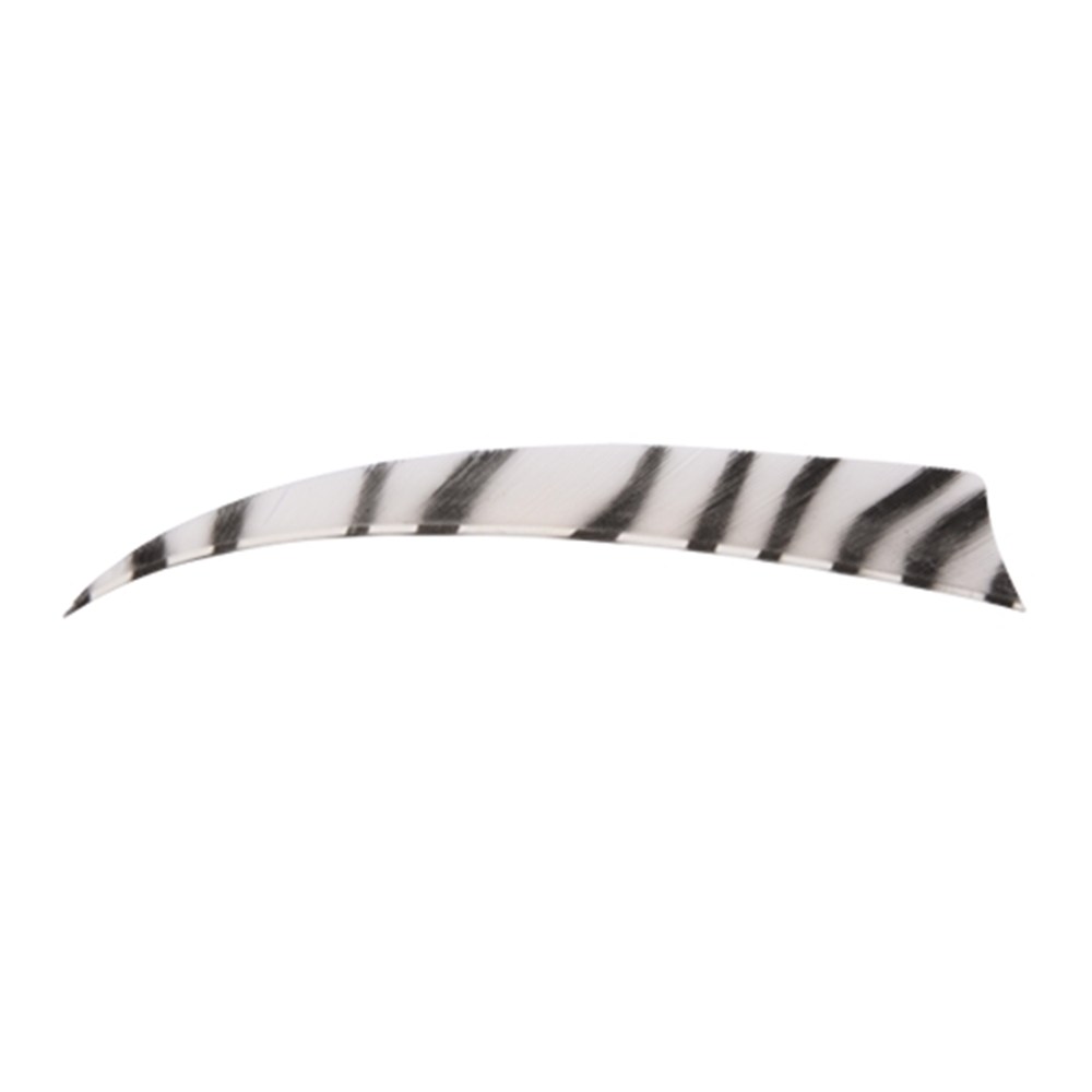 4" Zebra Shield Fletchings. White.